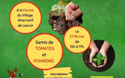 Apprendre à faire des semis de légumes