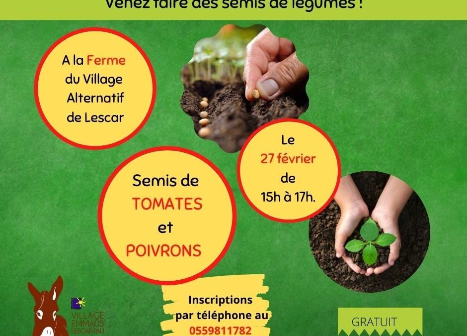 Apprendre à faire des semis de légumes