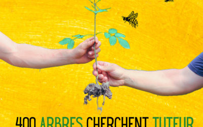 Plusieurs arbres orphelins cherchent tuteur pour prendre racine