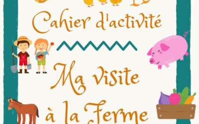 Apprendre en s’amusant