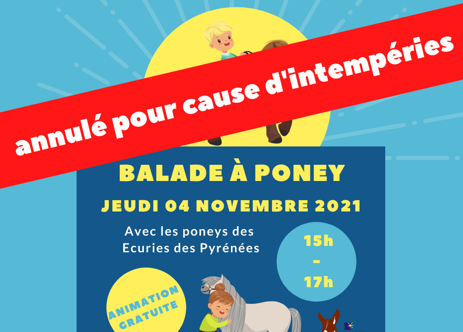 Balade à poney au Village !