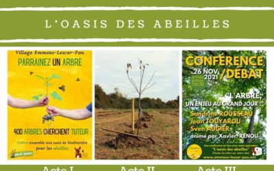 « L’Oasis des Abeilles », un projet en plusieurs actes !