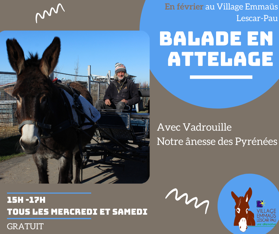 Animation âne (Facebook)