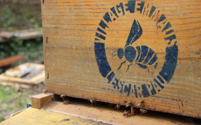 L’apiculture au Village Emmaüs Lescar-Pau