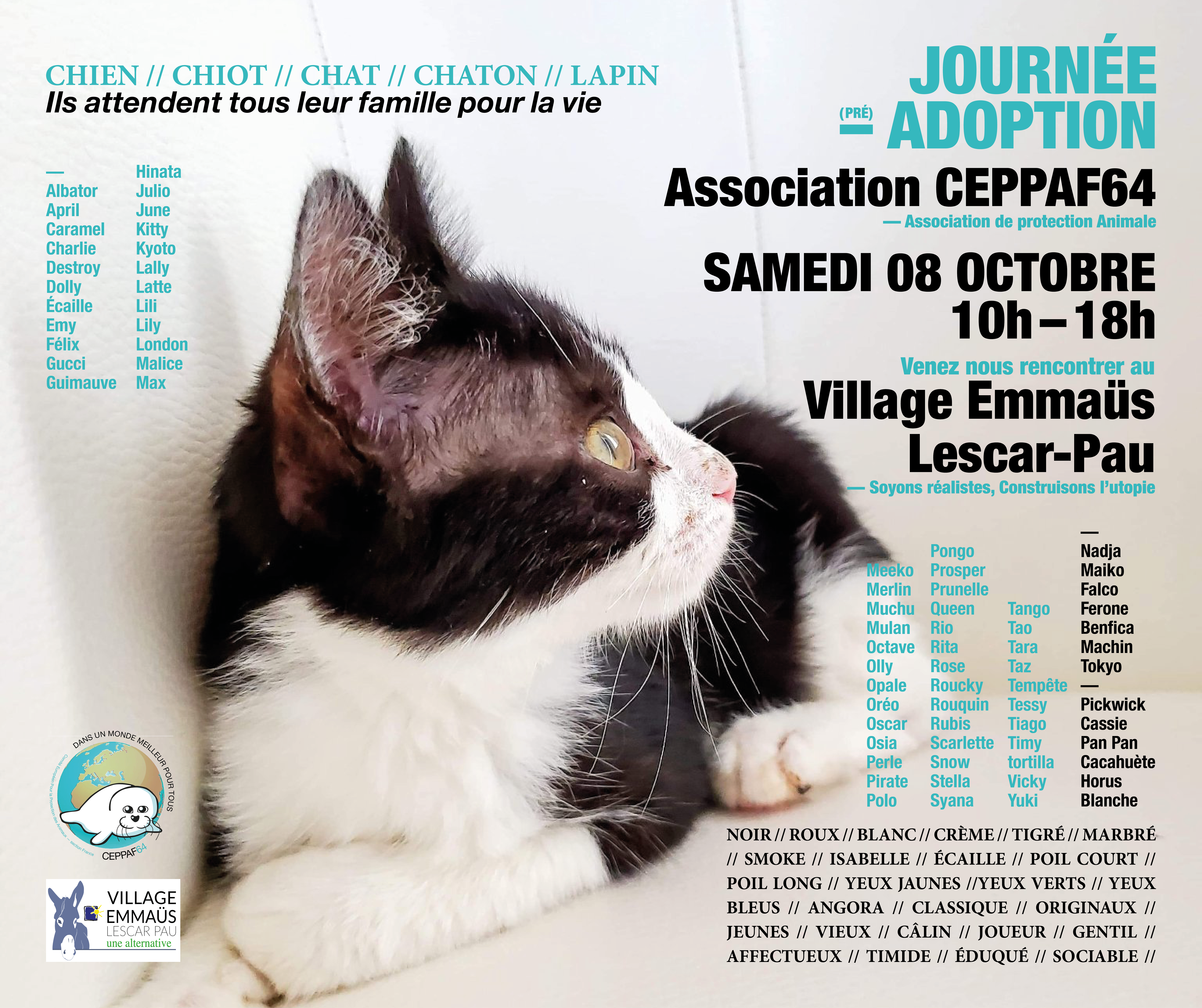 affiche fb