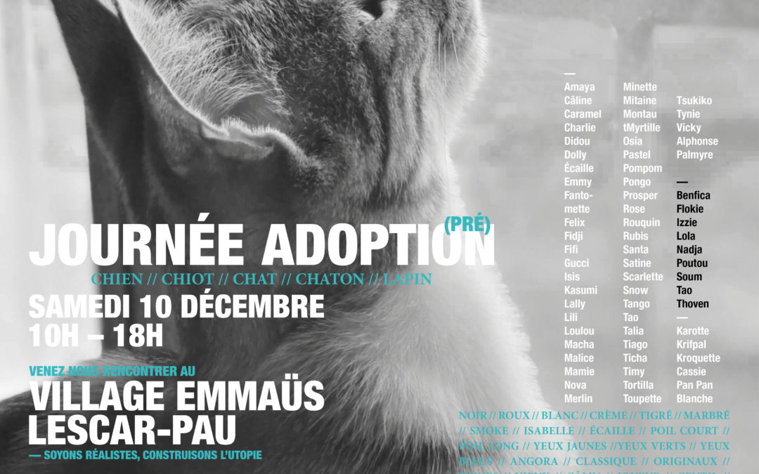 Journée (pré)adoption au Village Emmaüs Lescar-Pau