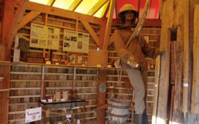 Un musée sur l’histoire de l’apiculture pour sauver l’avenir des abeilles…