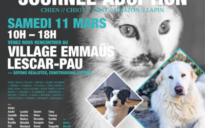 Journée de (pré)ADOPTION