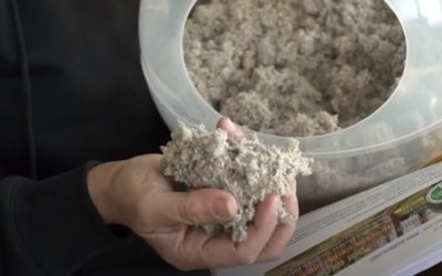 Partenariat Ouateco – recyclage fripes et papiers : une économie circulaire