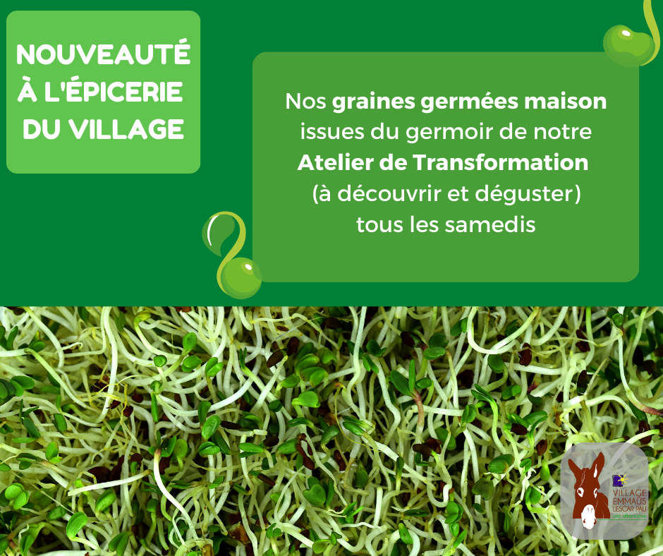 Graines germées (Publication Facebook)
