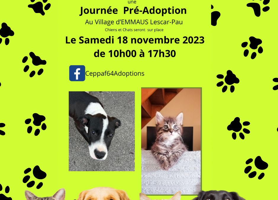 Samedi 18 novembre : Journée de pré-adoption