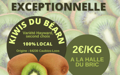 Vente exceptionnelle