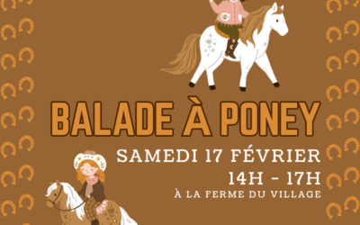 Samedi 17 février : Balade à poney au village Emmaüs Lescar-Pau