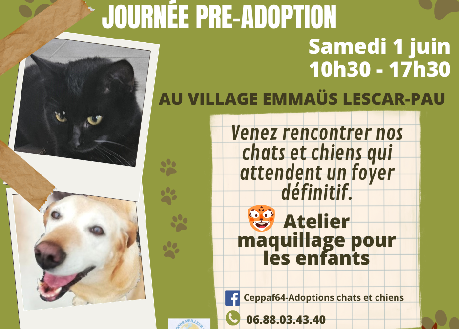 Journée de pré-adoption