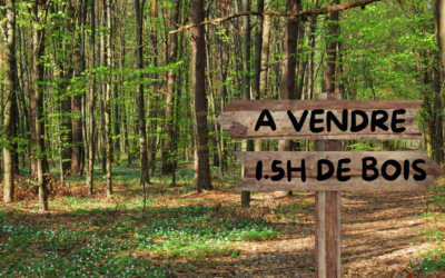 1.5 Hectare de bois à vendre