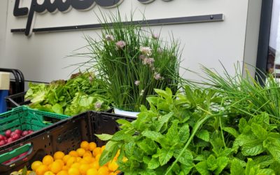 L’épicerie du Village Emmaüs : Engagée et équitable