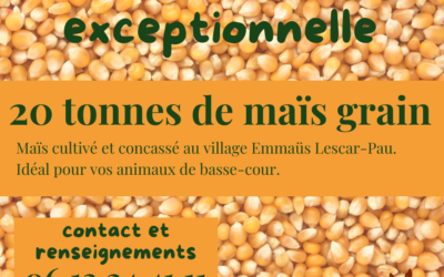 Vente exceptionnelle au Village Emmaüs Lescar-Pau.