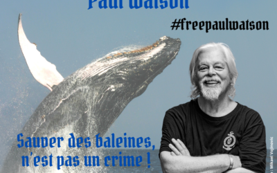 #FreePaulWatson