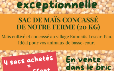 Sac de maïs concassé de notre ferme