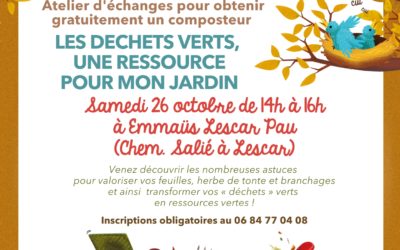 Samedi 26 octobre : Les rendez-vous verts