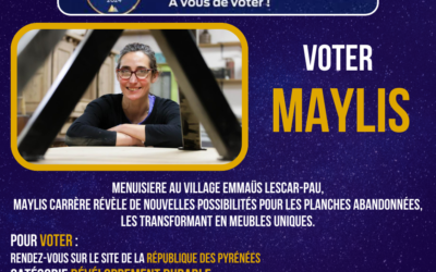 📣 Amis du Béarn, il est temps de voter ! 🗳️