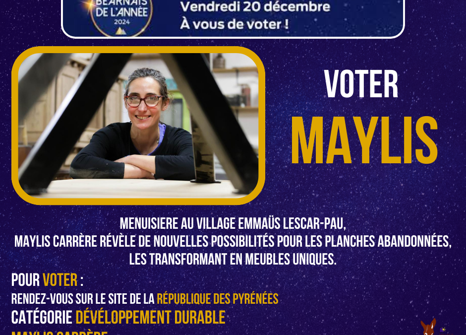 📣 Amis du Béarn, il est temps de voter ! 🗳️