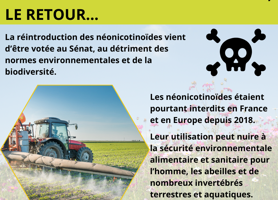 Néonicotinoïdes « tueurs d’abeilles », le retour…