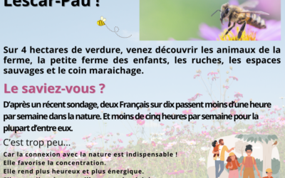 Offrez-vous un bol d’air à Emmaüs Lescar Pau !