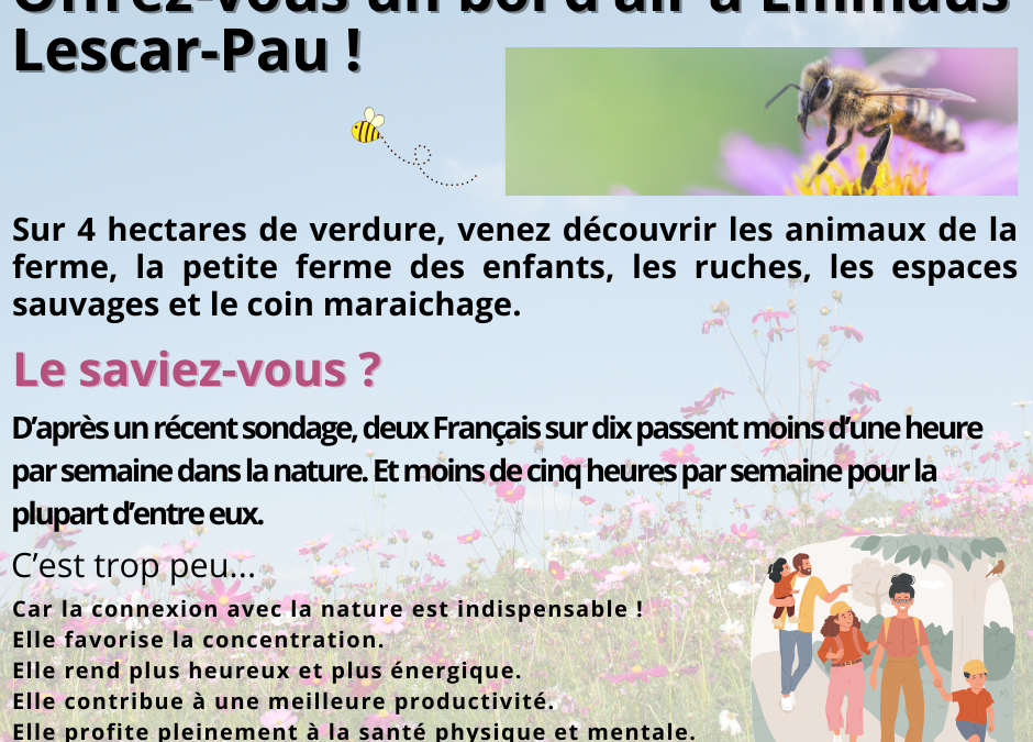 Offrez-vous un bol d’air à Emmaüs Lescar Pau !