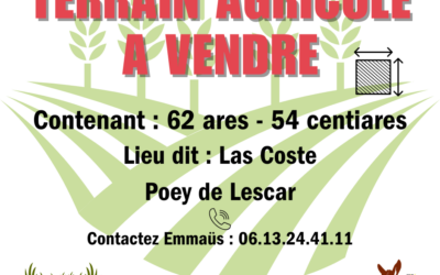 Terrain agricole à vendre