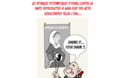 Le clin d’œil de Pava