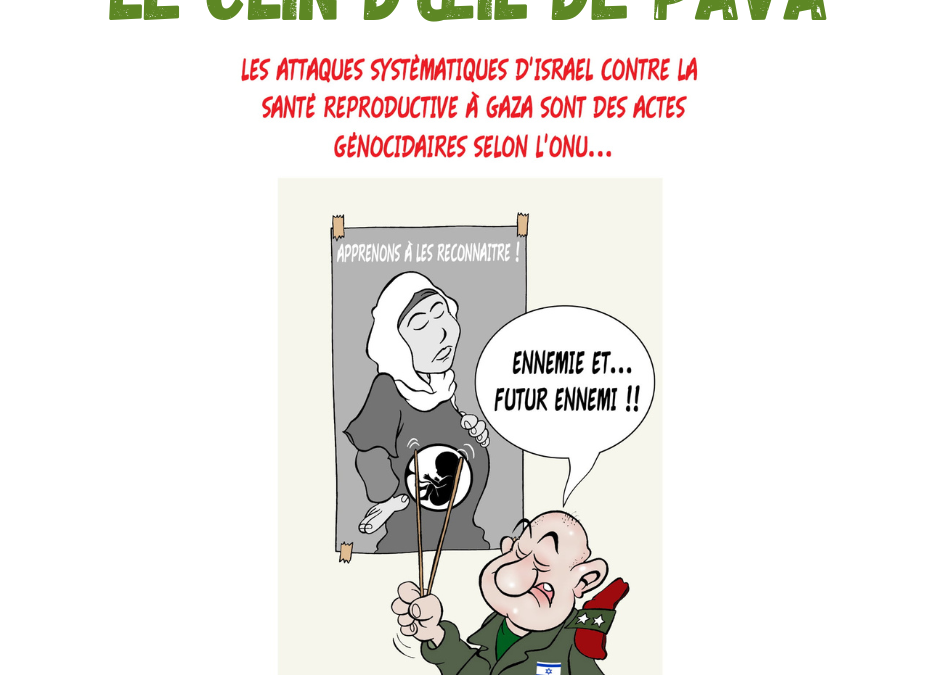 Le clin d’œil de Pava