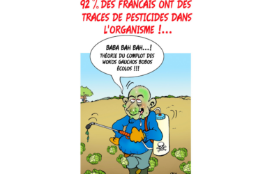 Le clin d’œil de Pava