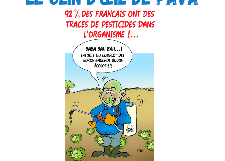 Le clin d’œil de Pava