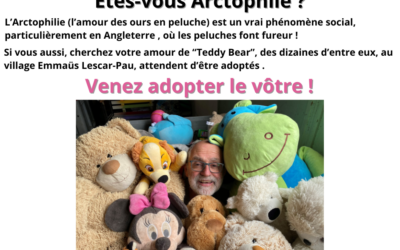 Un tas de nounours à adopter !!!