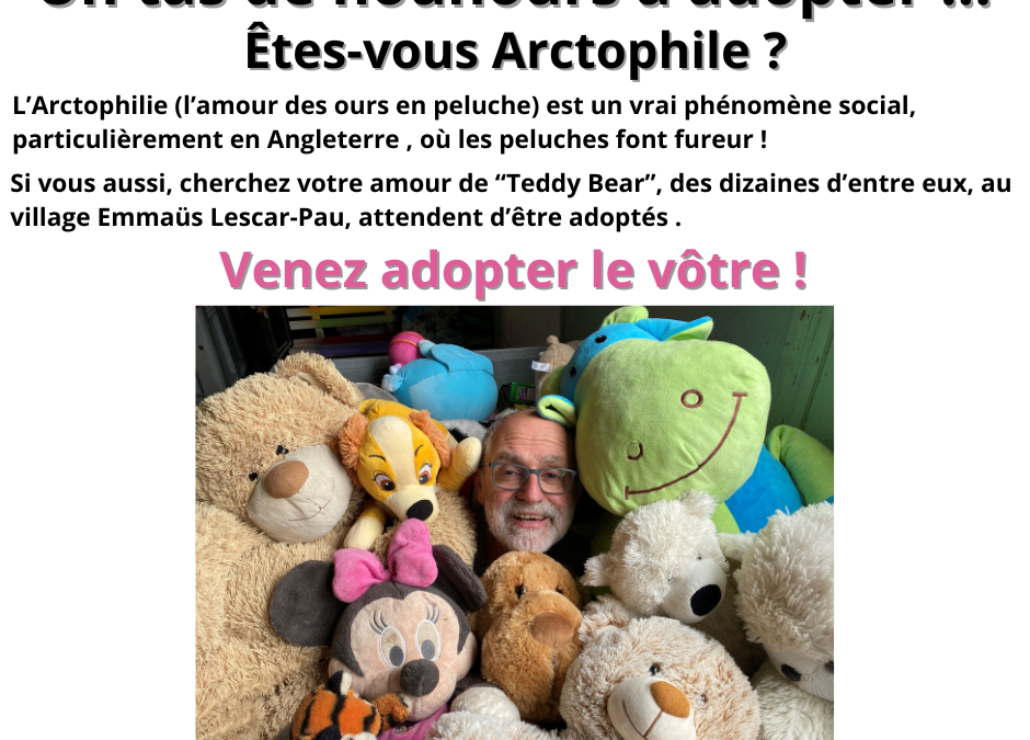 Un tas de nounours à adopter !!!
