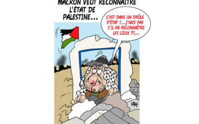 Le clin d’œil de Pava !