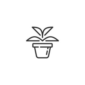 Pots et cache-pots
