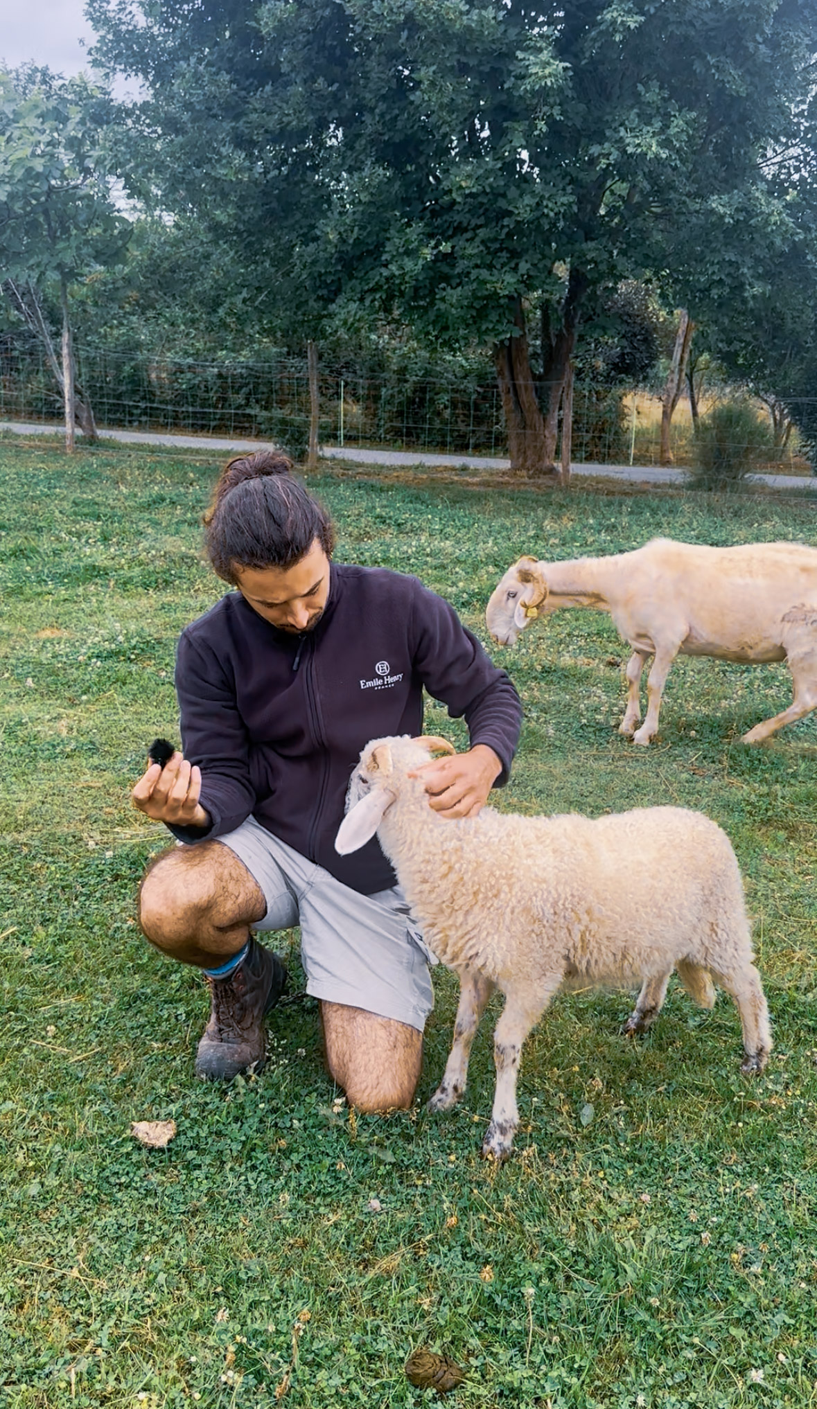 Ferme